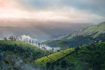 Viaje a Kerala y Tamilnadu